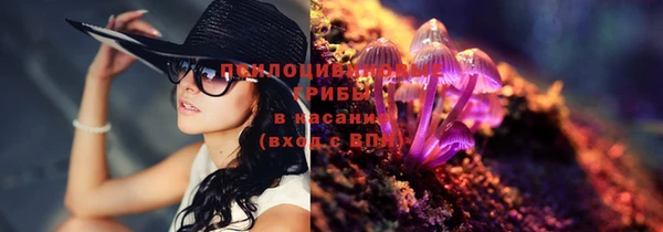 мет Арсеньев