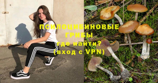 мет Арсеньев